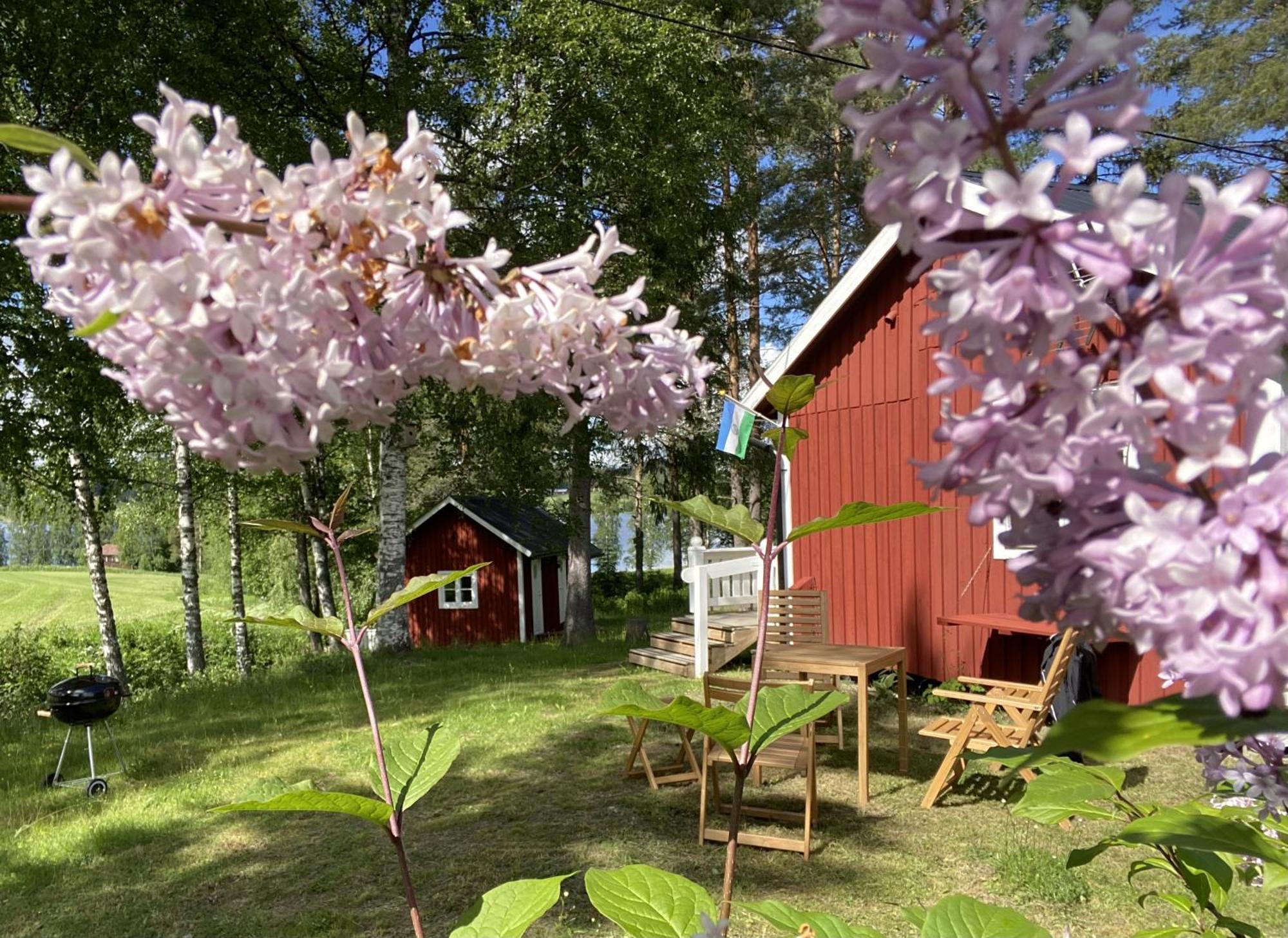 Sunshine Stuga Bergvik Gallo 외부 사진