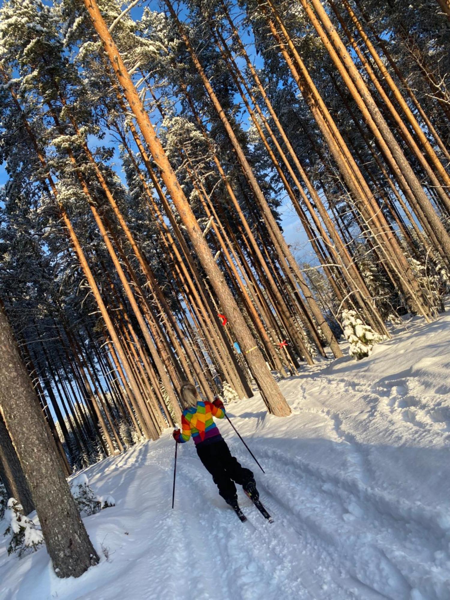 Sunshine Stuga Bergvik Gallo 외부 사진